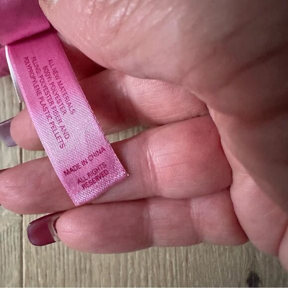 Victoria’s Secret PINK Phi Beta 2007 Mini Dog Accessories Collectable - Picture 12 of 15